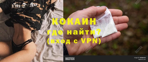 соль ск Алексин