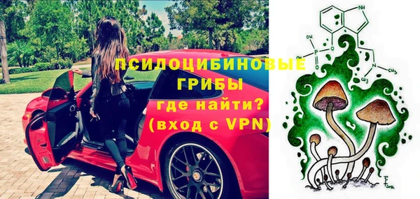 соль ск Алексин
